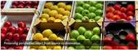 Gps Solution For Cold Chain Logistics - Green, Battery Life 1 Week, Accuracy Â±5m | Temperature Monitoring, Vehicle Tracking, Route Optimization, Data Analytics, Delivery Success