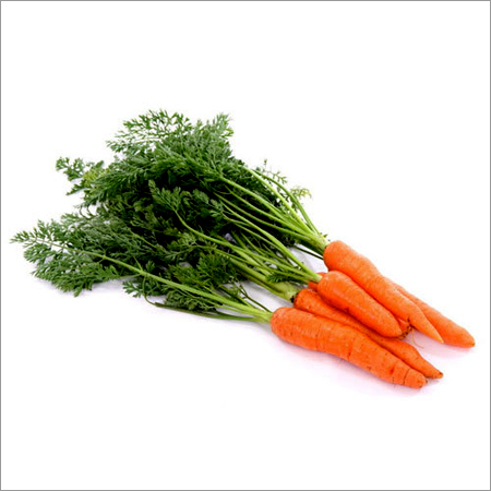 Fresh Carrot