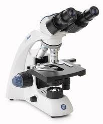 Microscope