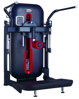 Incline Squat Machine(45)