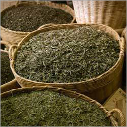 Green Herbal Tea