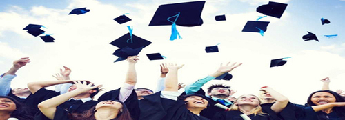 Student Visa Consultant