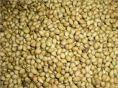 Badami Coriander Seeds