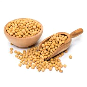 Soybean