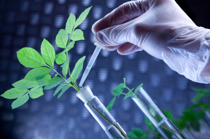 Herbal Phytochemicals Extraction Services