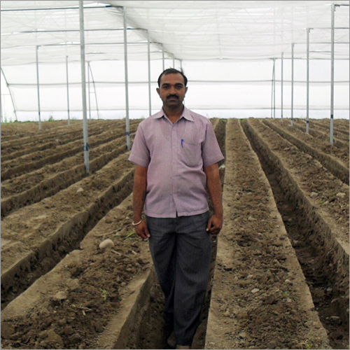 Polyester Net - 50-100m Length, 10-20m Width, White Color | Easy Install, Good Ventilation, High Strength, Tear Resistant, Plant Protection