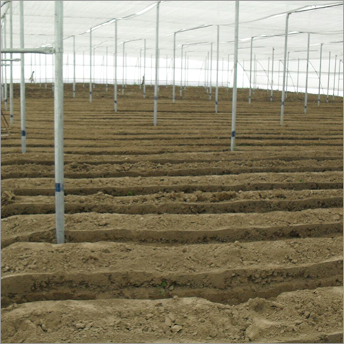 Scaffolding Net