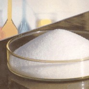 Powder Serratiopeptidase