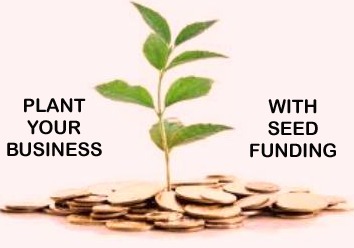 Business plan as per requirement of seed funding