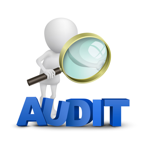 Audit Services