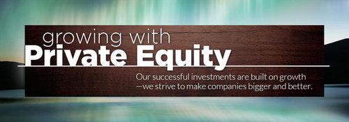 Private Equity Consulting