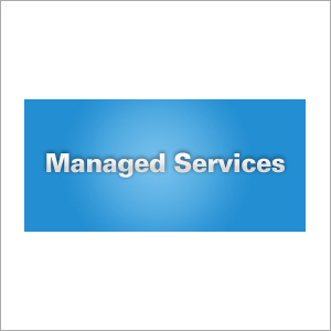 Vendor Management Software