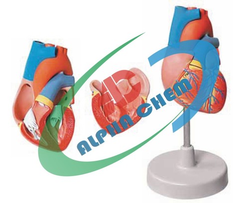 Biology Equipment