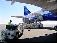 Cargo Agents Services