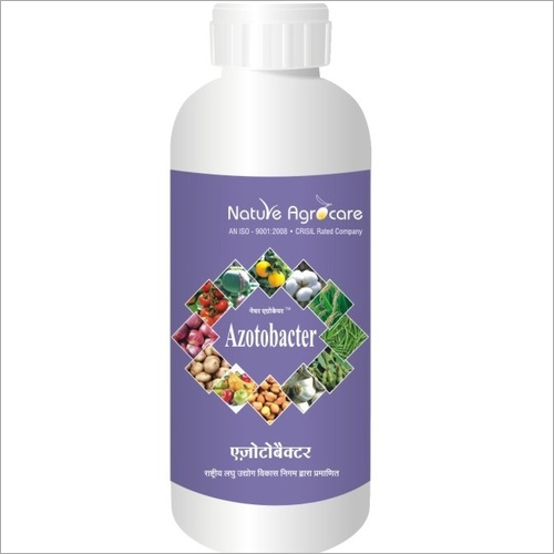 Azotobacter Biofertilizer By NATURE AGROCARE & RESEARCH PRIVATE LIMITED
