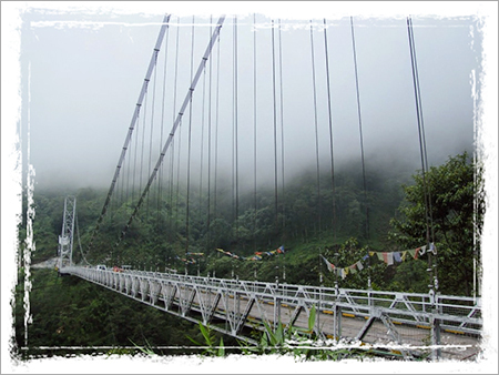 Singshore Bridge Tour Serives