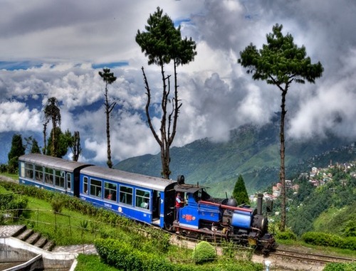 Chaaya Taal Darjeeling Tour Services