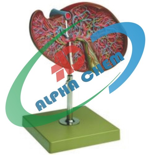 Biology Equipment