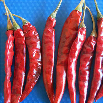 Red Chilli