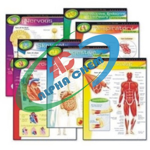 3D Raised Relief Plastic Models