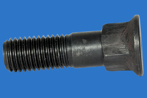 Stainless Steel Carriage Bolt