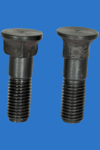 Stainless Steel Coach Bolt