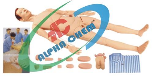 Basic Combination Nursing Manikin