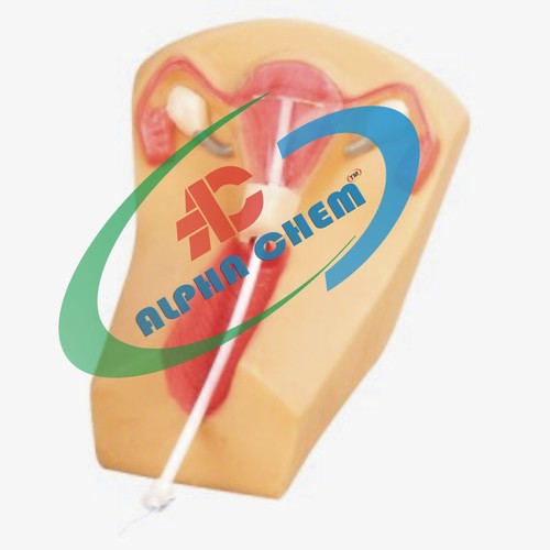 IUD Training Simulator