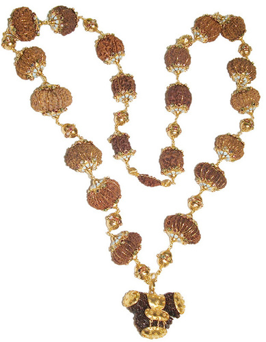 22 MM Attractive Nepali Rudraksha Indrakshi Mala Made In Sterling Silver -100% Pure
