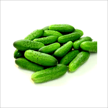 Fresh Gherkins