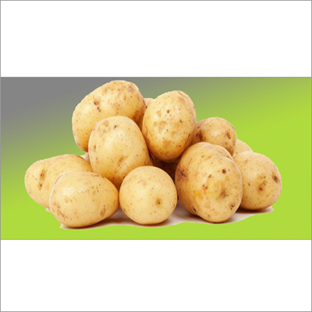 Fresh Potatoes