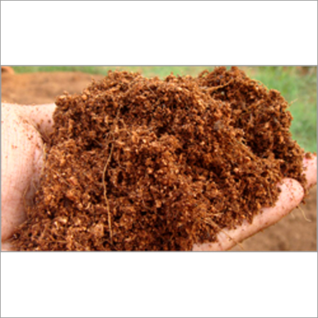 Coco Peat