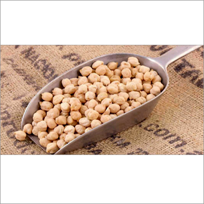 White Chickpeas