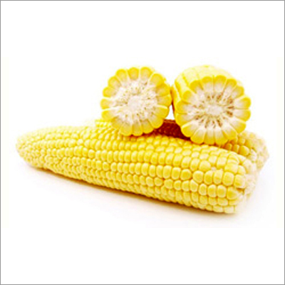 Yellow Maize