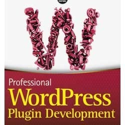 Professional Wordpress Theme Development Services