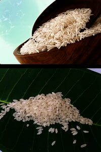White Masoori Rice