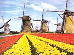 Netherland Tour Packages