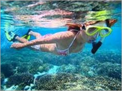 Indian Tour Packages