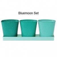 Bluemoon Herb Garden Sets