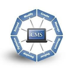 Web Content Management Services