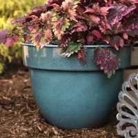 Garden Pot