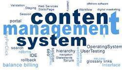 Website Content Management Services - Agile WCMS Design and Development, TYPO3 Yii Magento Integration, SEO Optimized, Scalable, Secure