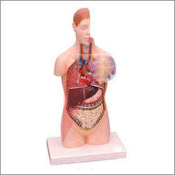 Nursing Equipments For ANM / GNM / B.SC