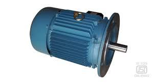 Flange Motor