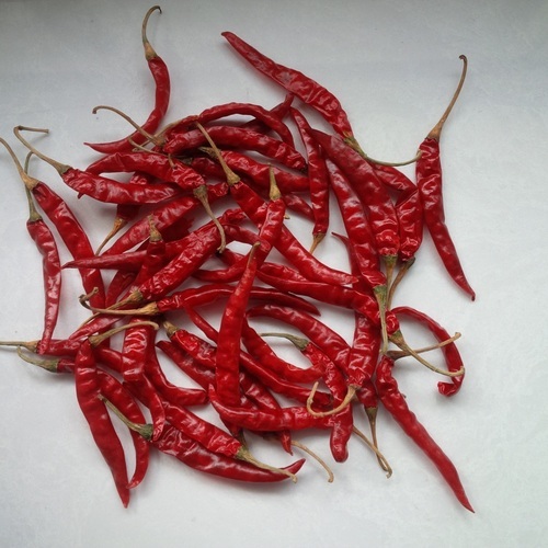 S17 Chillies S17 Chillies