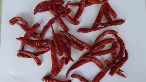 S17 chili manufacturer S17 chili manufacturer