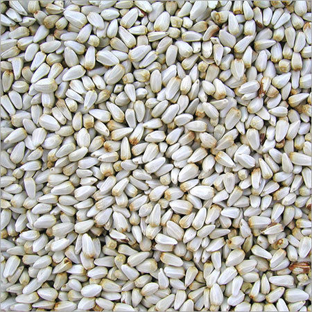 Safflower Seeds