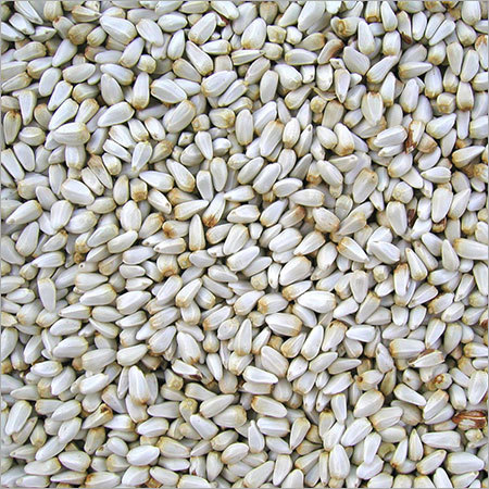 Safflower Seeds