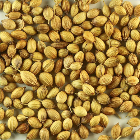 Coriander Seeds