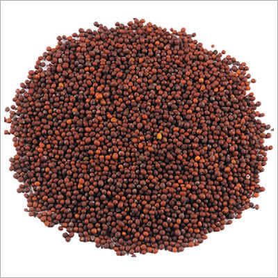 Mustard Seeds